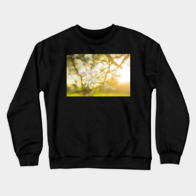 24 karat Crewneck Sweatshirt by ncmckinney